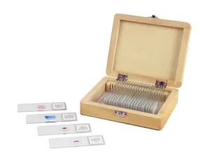 Celestron Prepared Slides - 25 piece box - 44410