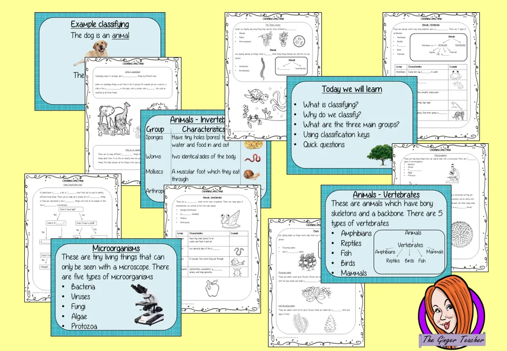 Classifying Living Things Lesson