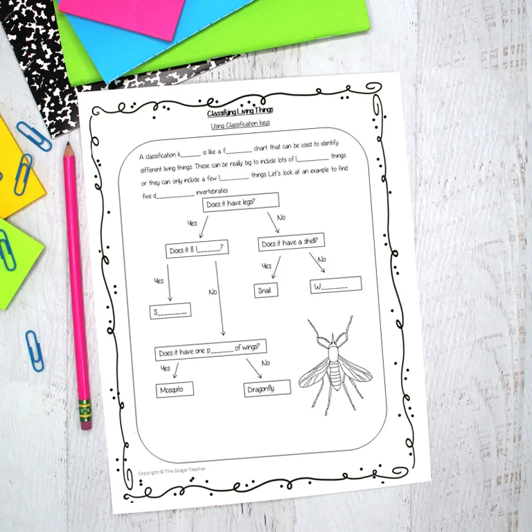Classifying Living Things Lesson