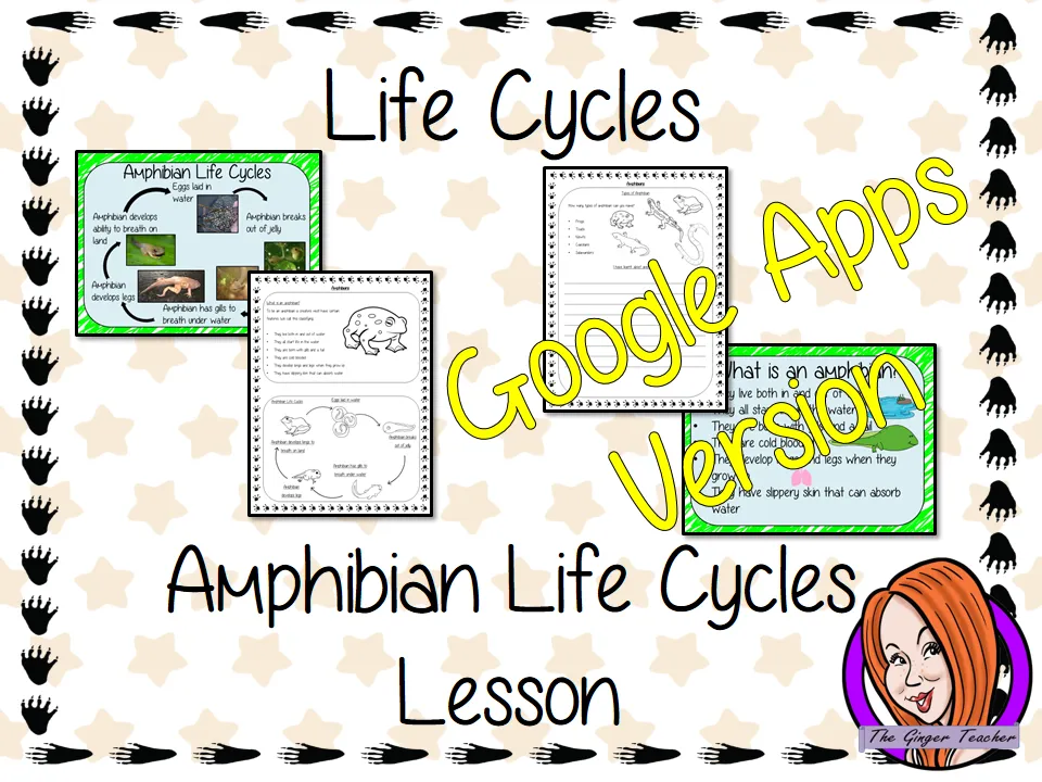 Distance Learning Amphibian Life Cycles Google Slides Lesson