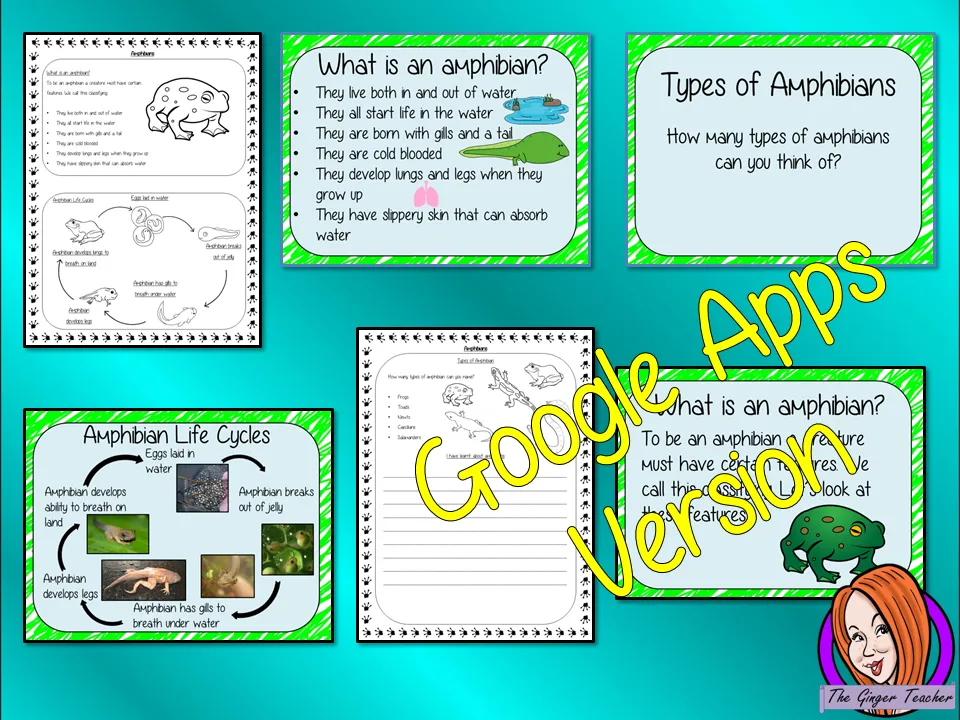 Distance Learning Amphibian Life Cycles Google Slides Lesson
