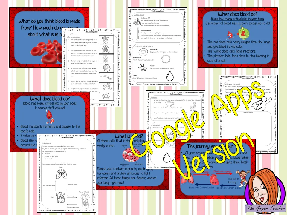 Distance Learning Blood and the Circulatory System Google Slides Lesson