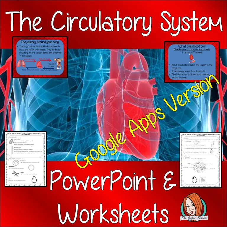 Distance Learning Blood and the Circulatory System Google Slides Lesson