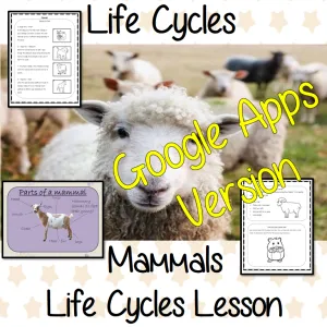 Distance Learning Mammals Life Cycles Google Slides Lesson