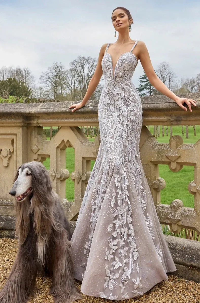 Nude Silver Gown