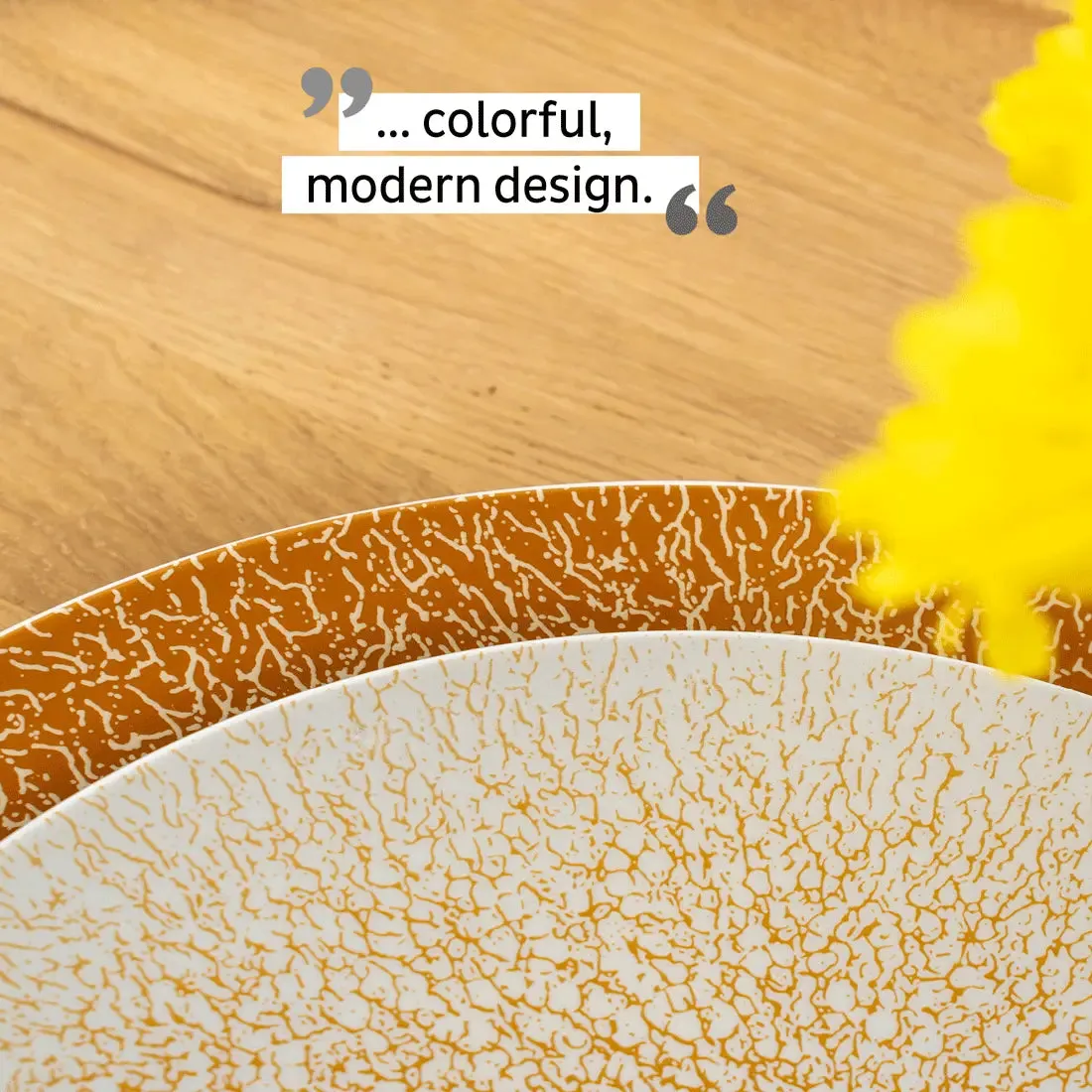 Porcelain Magnetic Dinner Plates APRICOT by Silwy