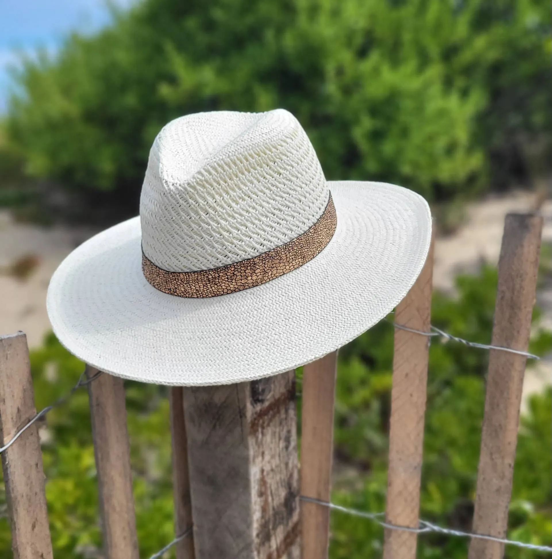 Savor Summer Collection