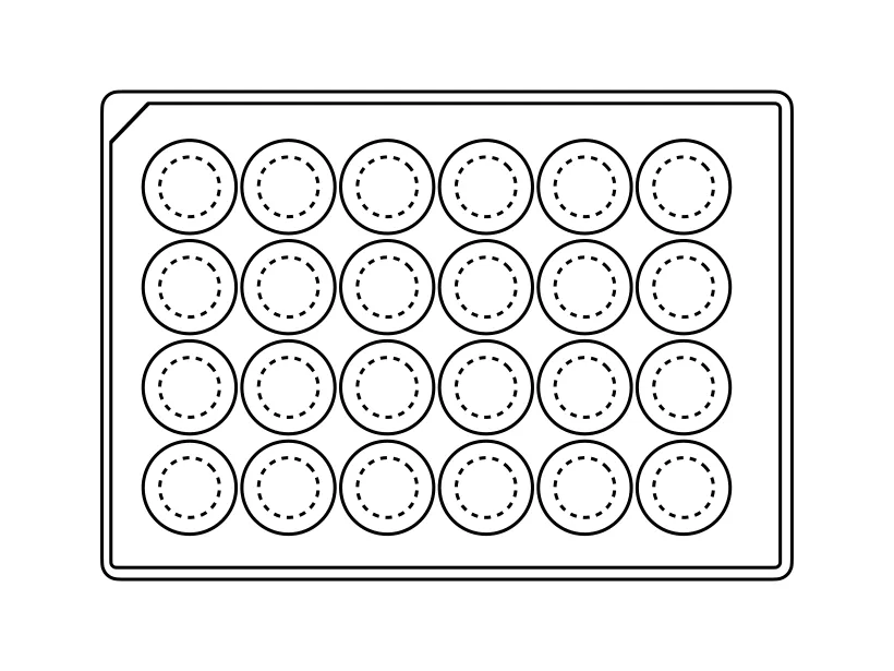 Softslip 24